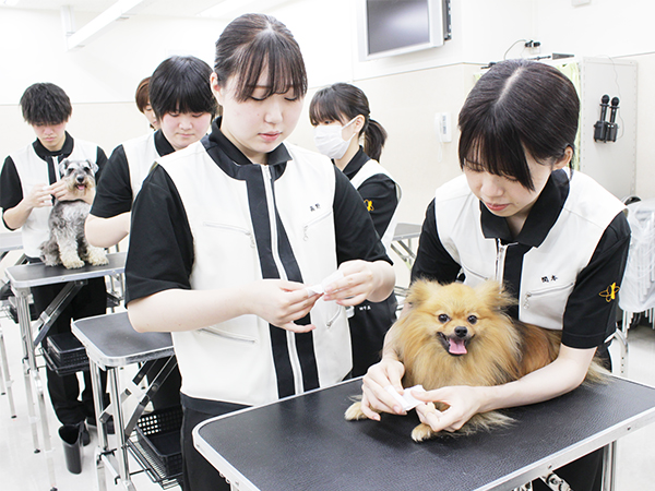 歯みがきしました☆